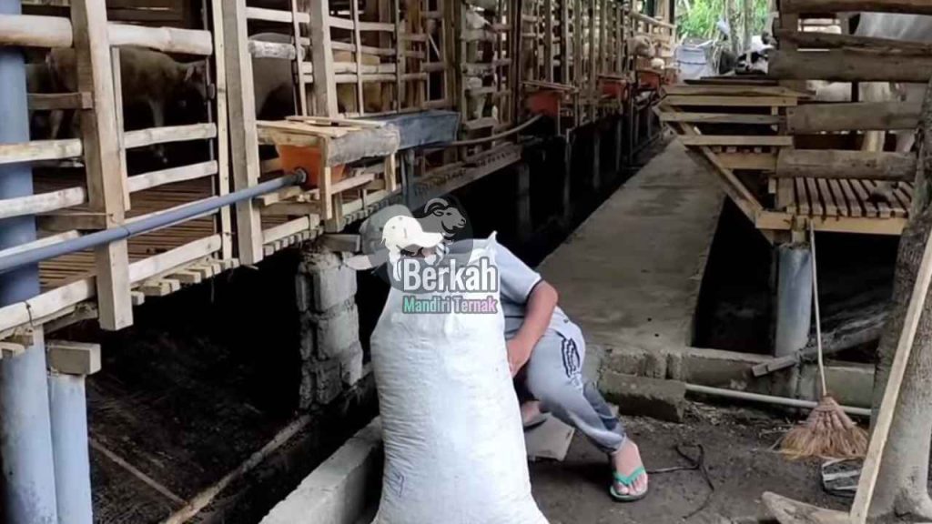 Jual pupuk kandang Bekasi kualitas super untuk tanaman subur