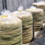 Jual Pakan Kambing Fermentasi Bekasi Harga Murah Terlengkap