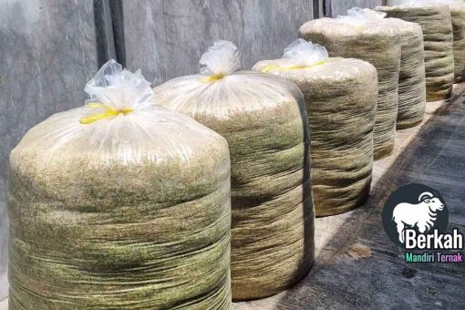 Jual Pakan Kambing Fermentasi Bekasi Harga Murah Terlengkap