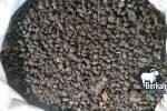 Jual pupuk kandang Bekasi kualitas super untuk tanaman subur