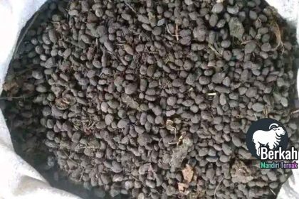 Jual pupuk kandang Bekasi kualitas super untuk tanaman subur