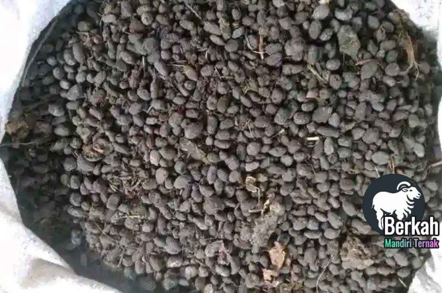 Jual pupuk kandang Bekasi kualitas super untuk tanaman subur