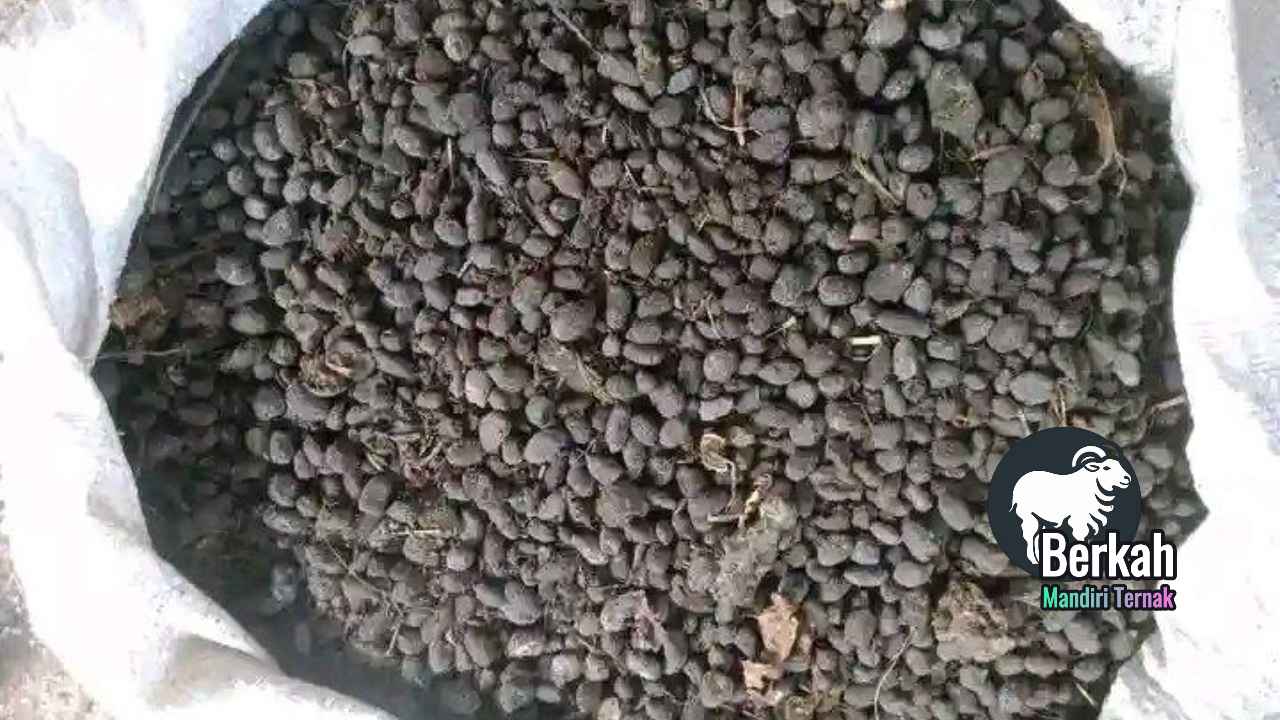Jual pupuk kandang Bekasi kualitas super untuk tanaman subur