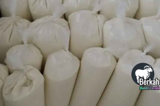 Jual susu kambing murni Bekasi: Khasiat & Harga Terbaik