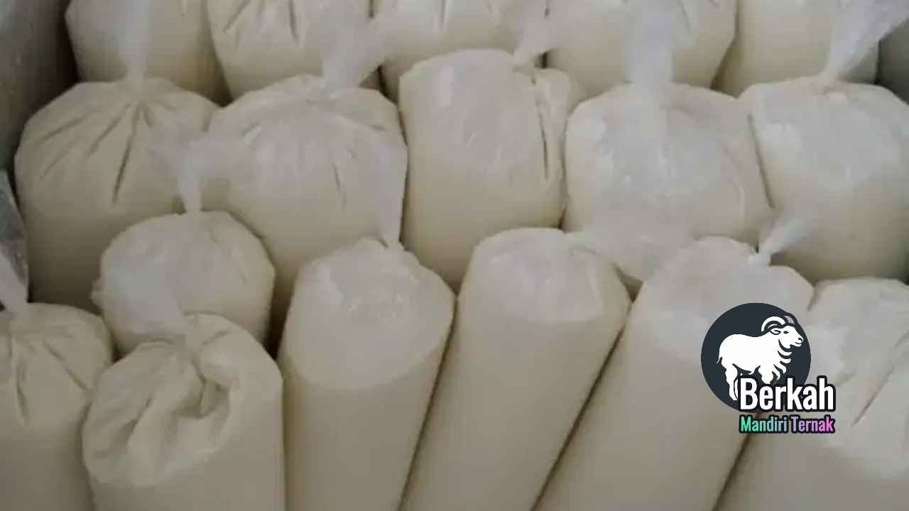 Jual susu kambing murni Bekasi: Khasiat & Harga Terbaik