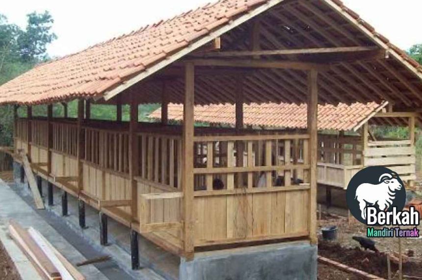 Jasa pembuatan kandang kambing Bekasi modern dan kuat