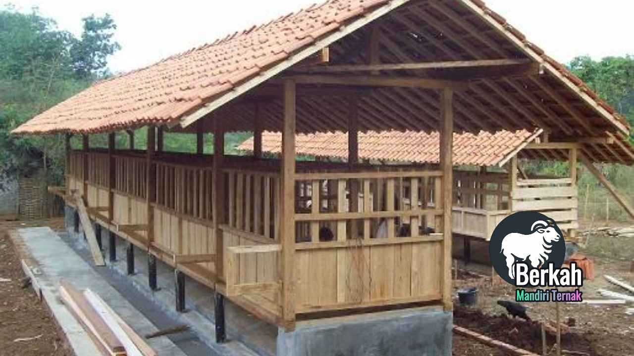 Jasa pembuatan kandang kambing Bekasi modern dan kuat